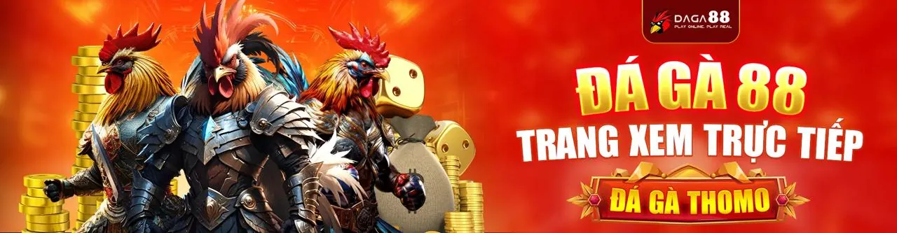 Đá gà trực tuyến 88nw với không khí sôi động